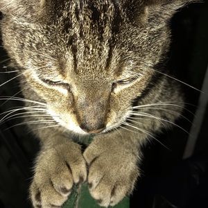 Meet your Posher, Vitaly